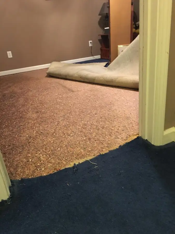 Carpet pad removal revealing water damage during Water Mitigation Services in Ripley