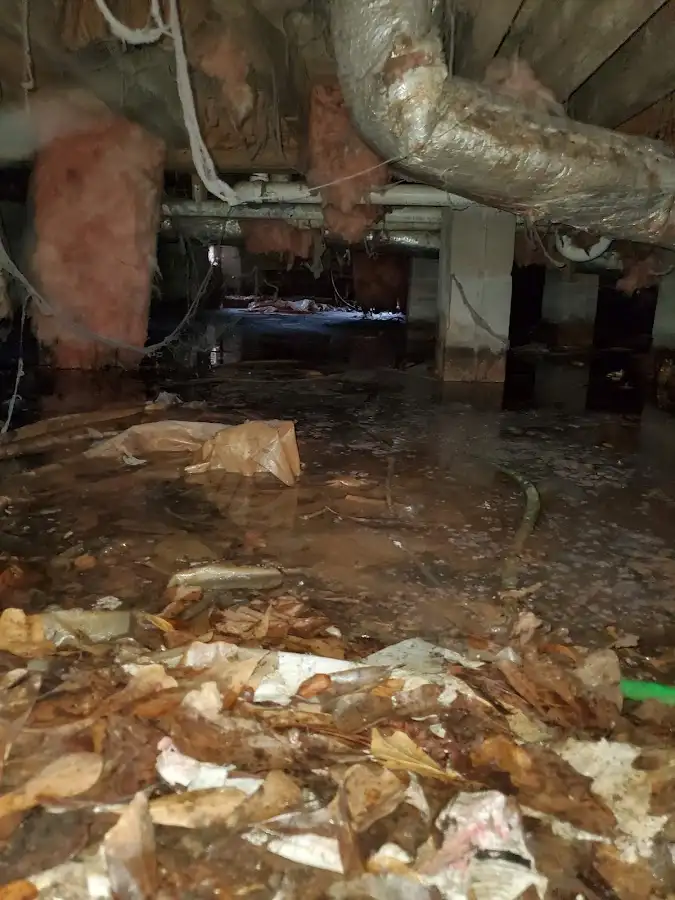 Crawl space flood assessment for Leak Detection & Repair in Ripley