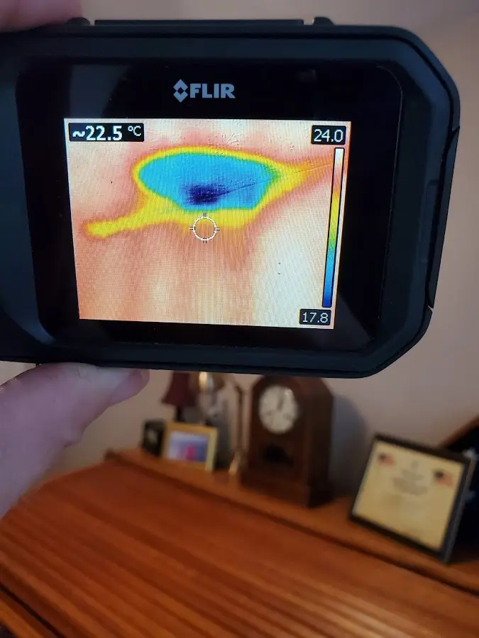Thermal imaging inspection for water damage in Ripley
