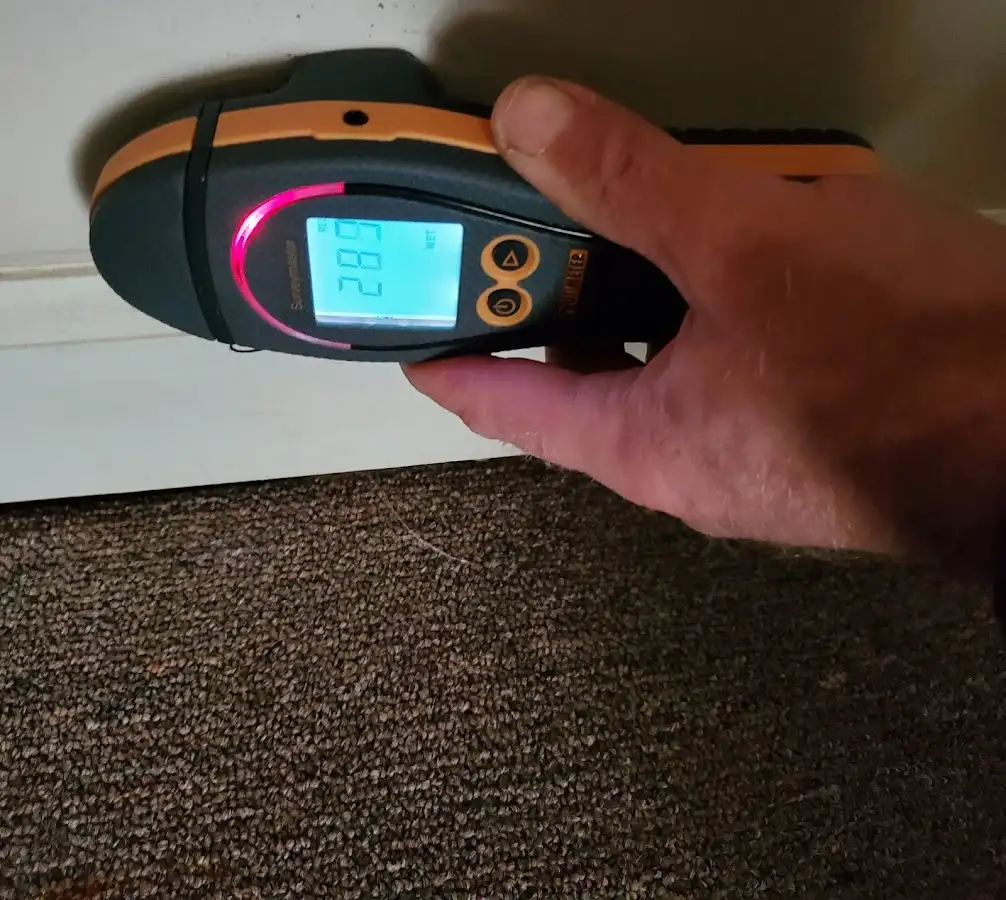 Moisture detection at baseboard during Sewage Cleanup & Sanitation in Ripley