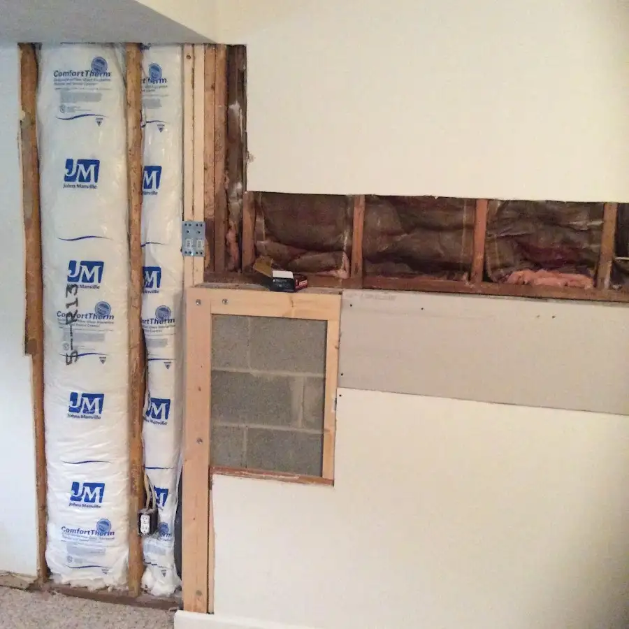 Wall insulation replacement during Odor Removal & Deodorization in Ripley